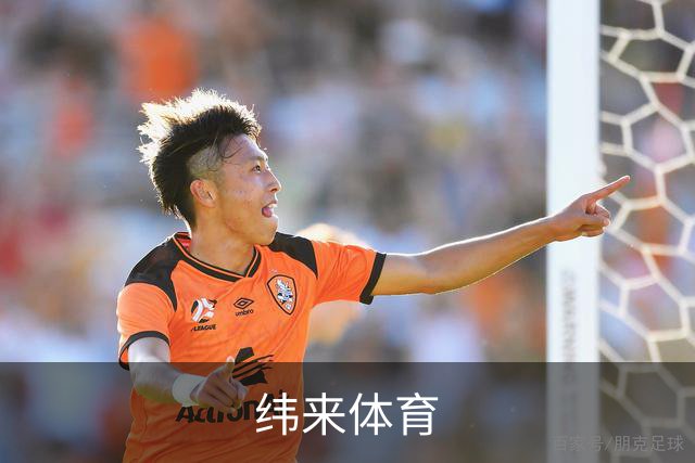 纬来体育公司简介